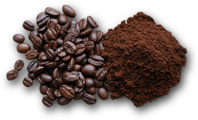 Grains de café entiers et café moulu, souvent utilisés comme solution anti-taupe naturelle pour faire fuir les taupes.