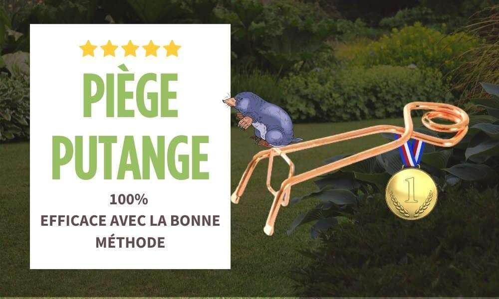 Piège Putange pour se débarrasser des taupes, détaupeur efficace pour éliminer les taupes, anti-taupe, solution anti taupe, piège à taupe pour faire fuir les taupes.
