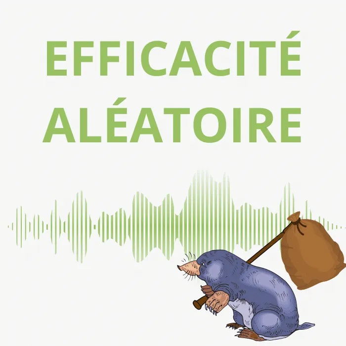 Illustration avec un graphique en arrière-plan et une taupe portant un baluchon, avec le texte "Efficacité Aléatoire" en vert.