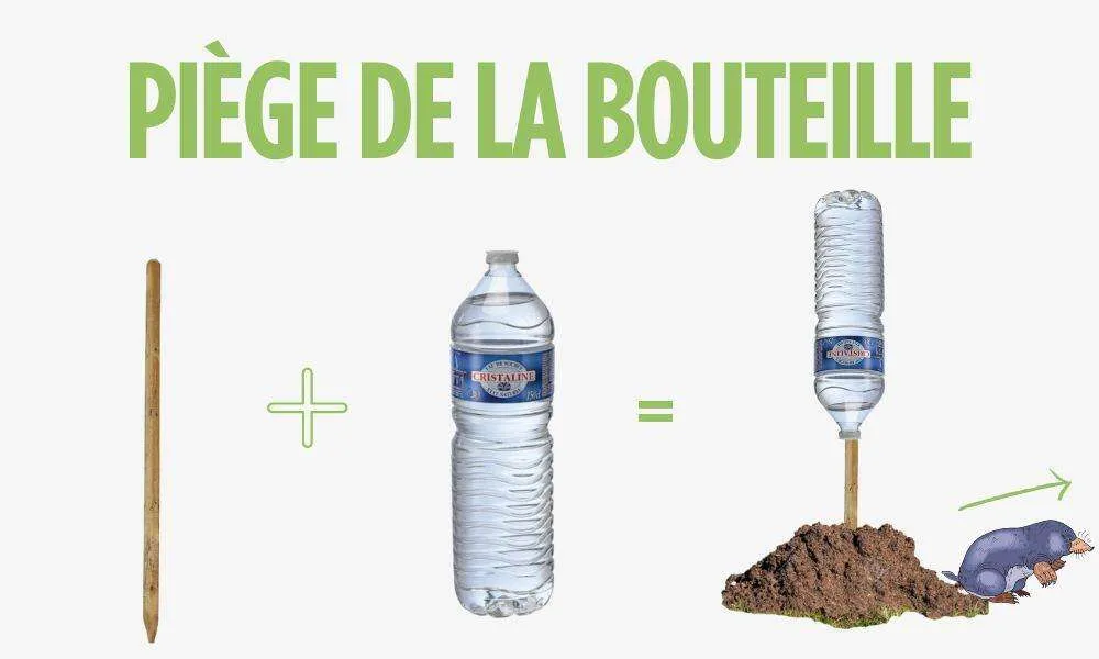 Piège de la bouteille pour se débarrasser des taupes, détaupeur, detaupeur, quicktaupe, tuer les taupes, éliminer les taupes, faire partir les taupes, faire fuir les taupes, piège à taupe, anti-taupe, solution anti taupe.