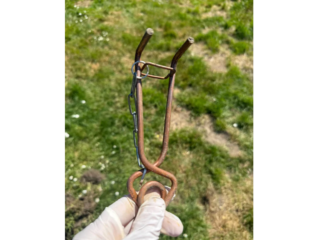 Remède de grand-mère pour tuer les taupes : +5 anti-taupe !