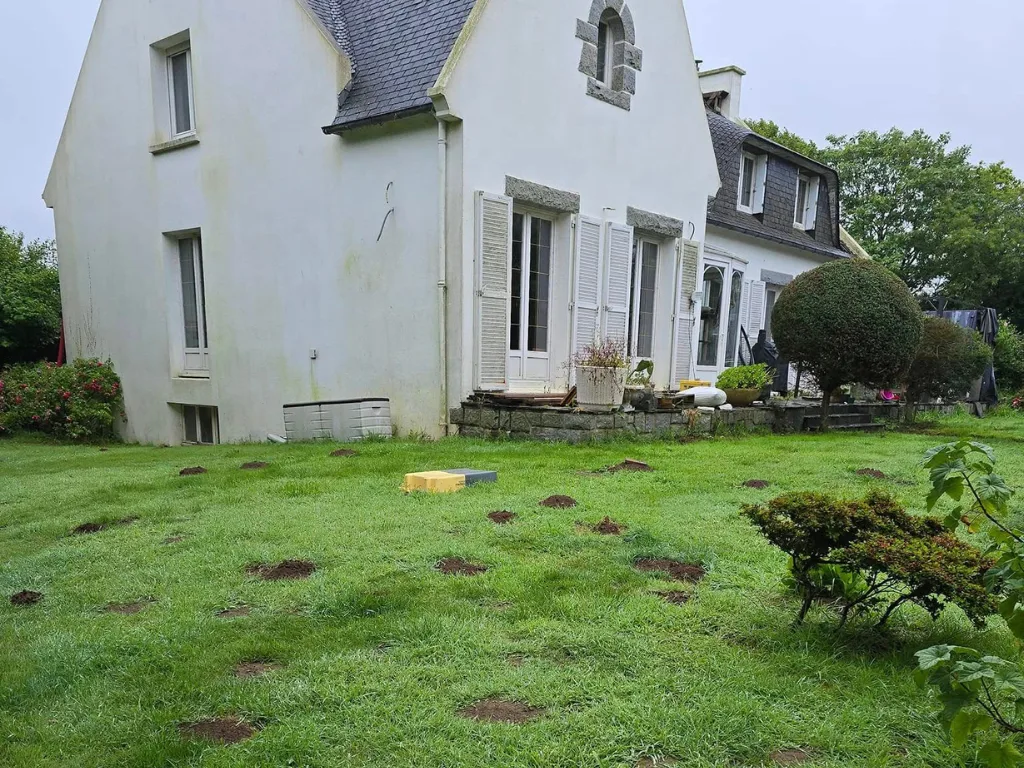 Remède de grand-mère pour tuer les taupes : +5 anti-taupe !