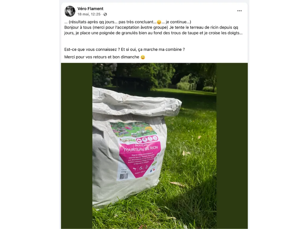 Recette de grand mère pour se débarrasser des taupes – Les 6 remèdes anti taupes !