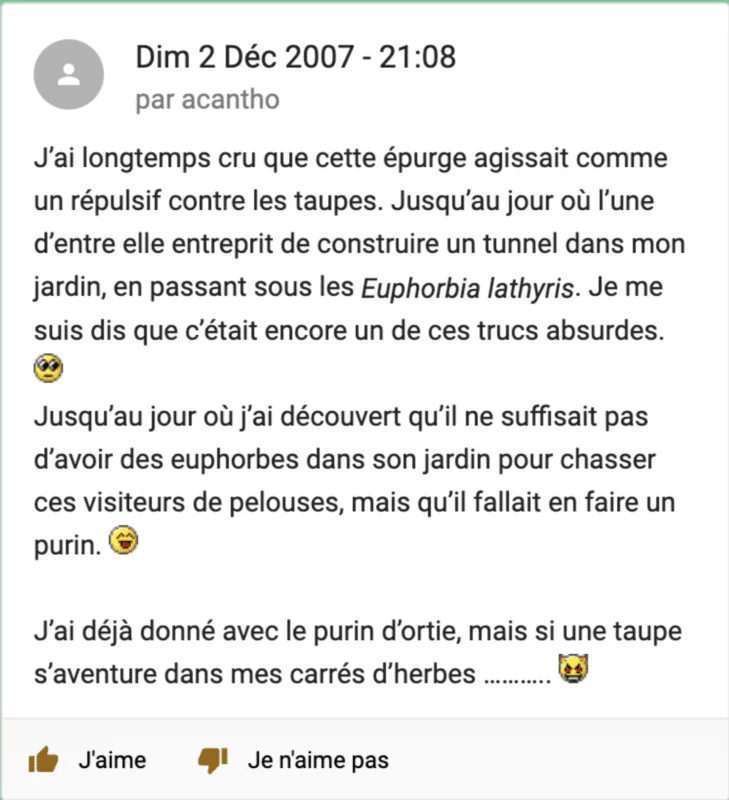 Comment faire fuir les taupes ? 9 méthodes pour y parvenir !