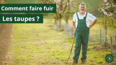 Comment faire fuir les taupes ? 9 méthodes pour y parvenir !