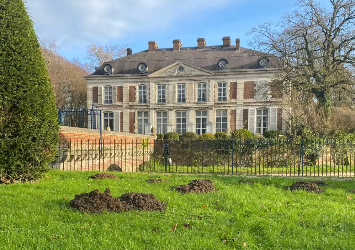 Gaz Anti-Taupe : Peut-on gazer les taupes pour les faire partir ?