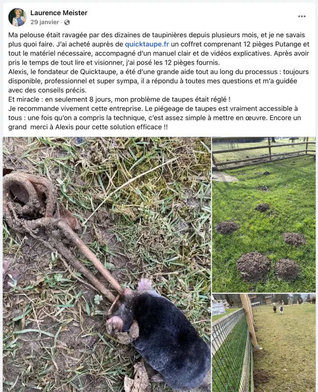 Détaupeur : Le piège à commander pour en finir avec les taupes ?