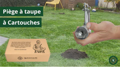 Piège à Taupe à Cartouche : – Tout ce que vous devez savoir !