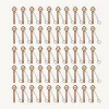 50 pièges à taupe putange – Lot