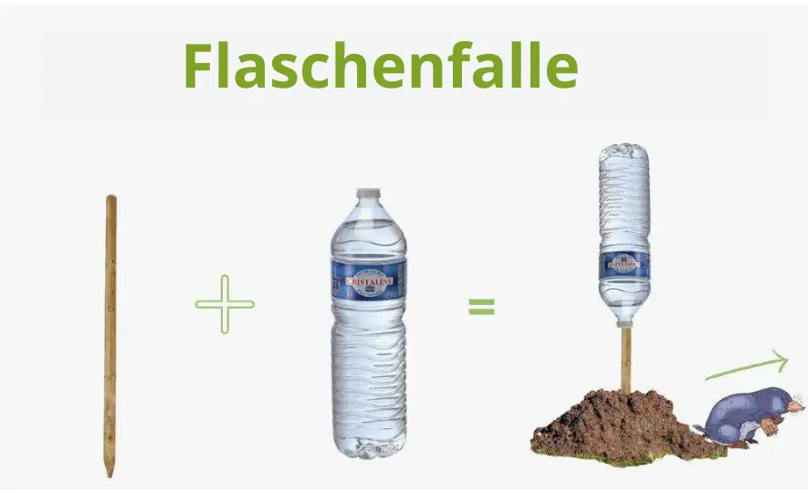 Welche Wühlmausfalle soll ich kaufen? Die besten Wühlmausfallen auf dem Markt 2025