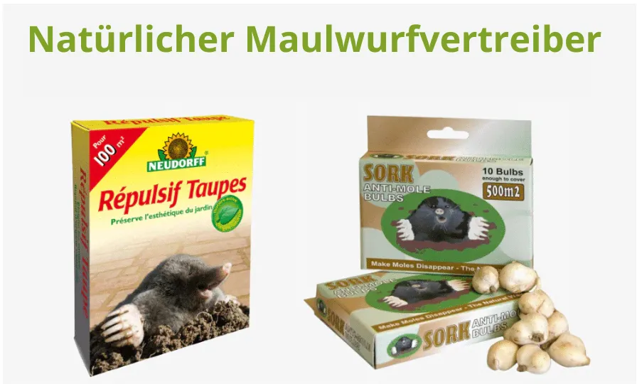 Welche Wühlmausfalle soll ich kaufen? Die besten Wühlmausfallen auf dem Markt 2025