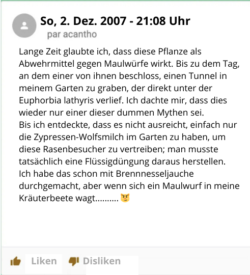 Wühlmäuse vertreiben? 9 Methoden – und warum sie alle nichts bringen!