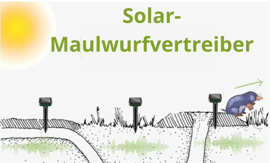 Ultraschall-Wühlmausfallen – Die Wahrheit über ihre Ineffizienz