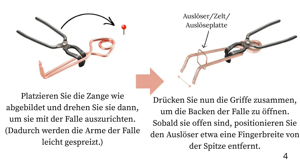 Wühlmäuse fangen? 5 einfache Schritte mit der Putange Wühlmausfalle