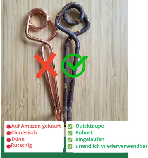Wie du Wühlmäuse vertreibst: 6 gängige Lösungen