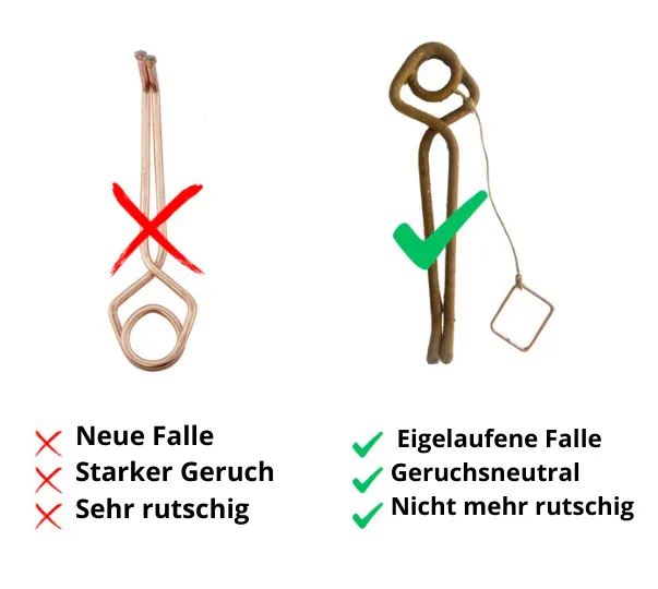 Wühlmausfalle: 3 Fallen, die wirklich funktionieren!