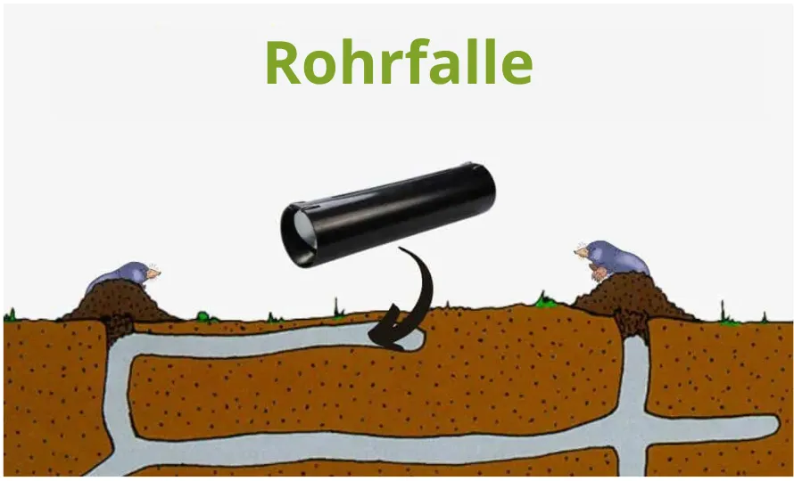 Welche Wühlmausfalle soll ich kaufen? Die besten Wühlmausfallen auf dem Markt 2025