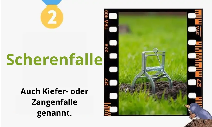 Welche Wühlmausfalle soll ich kaufen? Die besten Wühlmausfallen auf dem Markt 2025