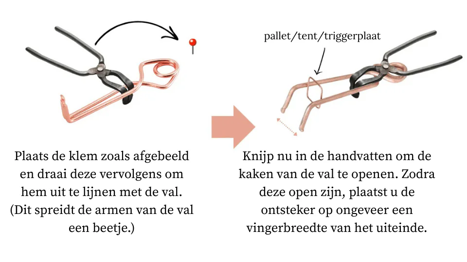 Hoe vang je een mol? 5 simpele stappen met de Putange-val