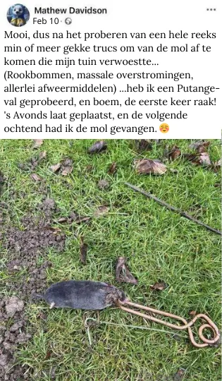 De pyrotechnische mollendoder: de beste val om van mollen af te komen?