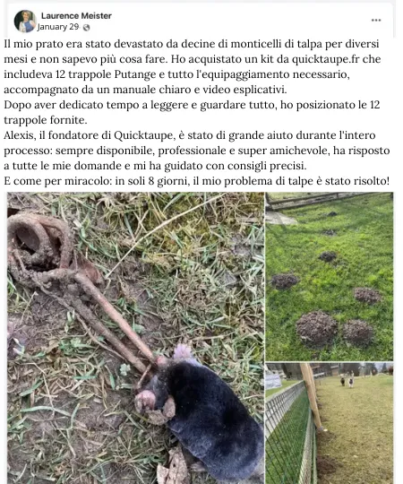 Détaupeur: Quale trappola comprare per liberarti finalmente delle talpe?