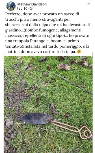 Détaupeur: Quale trappola comprare per liberarti finalmente delle talpe?
