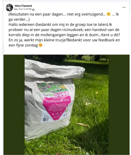 Grootmoeders Recept Tegen Mollen – De 6 Anti-Mol Middeltjes!