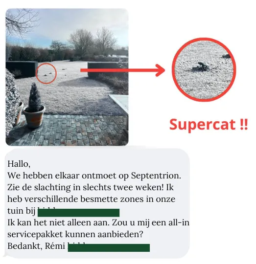 SUPERCAT mollenval: Is dit echt de beste keus? QuickTaupe geeft antwoord!