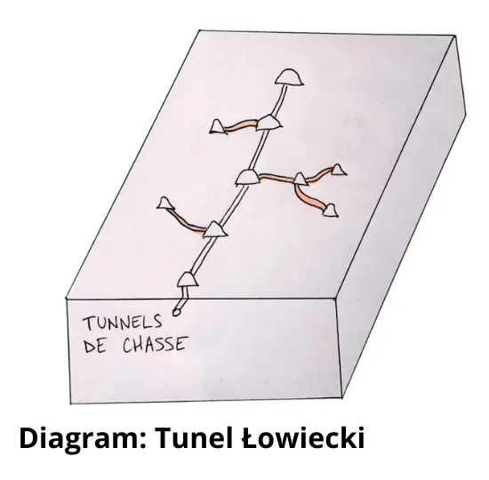 Schemat Korytarzy Kreta: Zrozum, Zidentyfikuj i Zarządzaj Podziemną Siecią