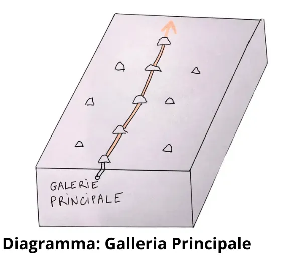 Schema delle Gallerie della Talpa: Capire, Identificare e Gestire le Reti Sotterranee