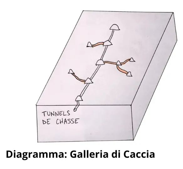 Schema delle Gallerie della Talpa: Capire, Identificare e Gestire le Reti Sotterranee