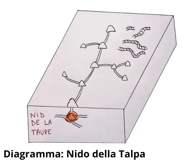 Schema delle Gallerie della Talpa: Capire, Identificare e Gestire le Reti Sotterranee