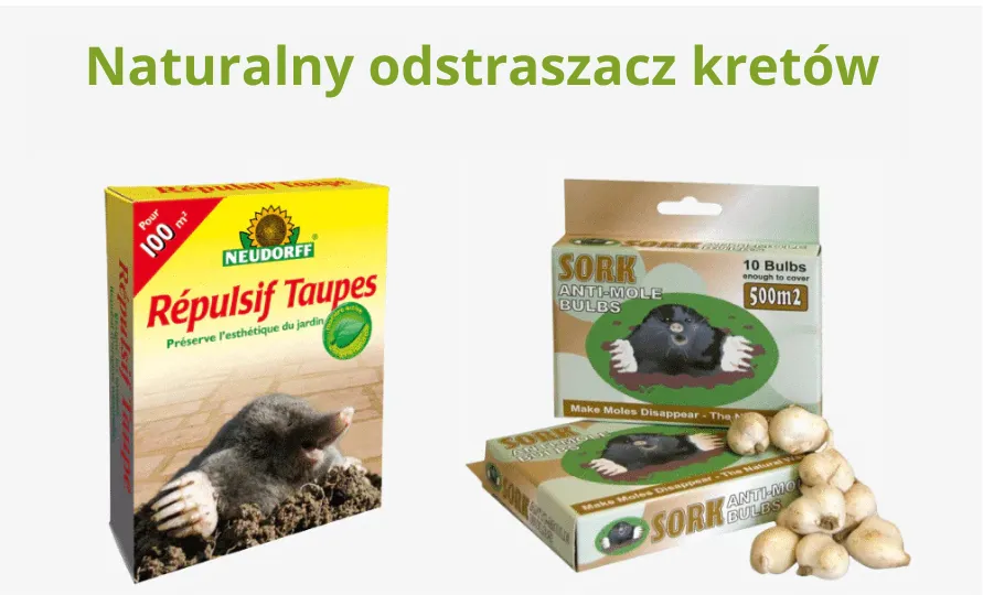 Jaki kupić kretowy pułapkę? Najlepsze pułapki na krety na rynku w 2025 roku