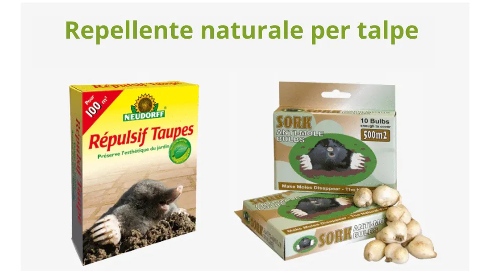 Quale trappola per talpe comprare? Le migliori trappole per talpe sul mercato nel 2025