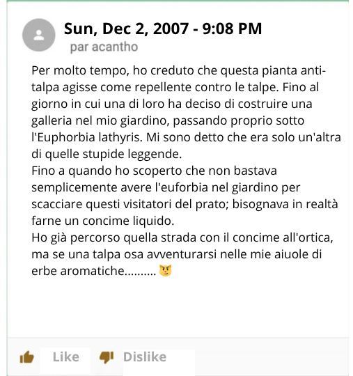 Come Scacciare le Talpe? 9 Metodi per Riuscirci!