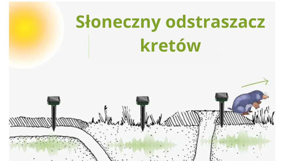 Jaki kupić kretowy pułapkę? Najlepsze pułapki na krety na rynku w 2025 roku