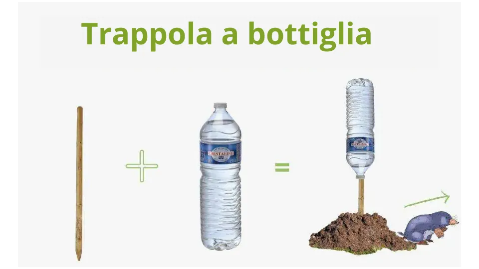 Quale trappola per talpe comprare? Le migliori trappole per talpe sul mercato nel 2025