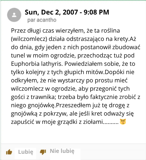 Jak odstraszyć krety? 9 sposobów na ich pozbycie się!