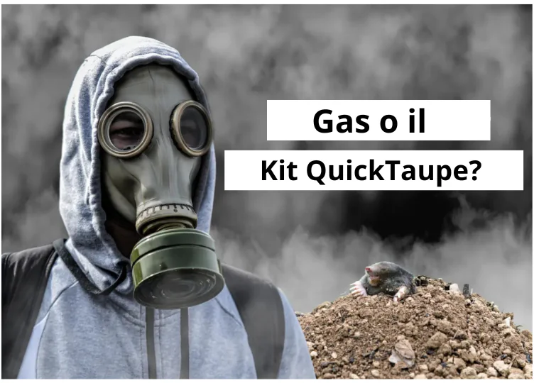 Gas Antitalpa: Si Possono Eliminare le Talpe con il Gas per Mandarle Via?