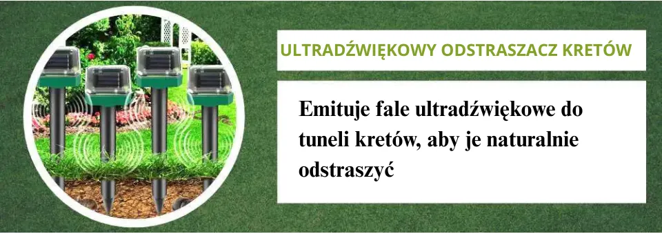 Jak naturalnie pozbyć się kretów? 8 skutecznych metod