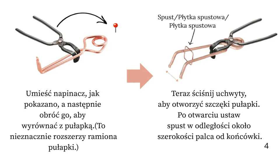 Jak złapać kreta? 5 prostych kroków z pułapką Putange