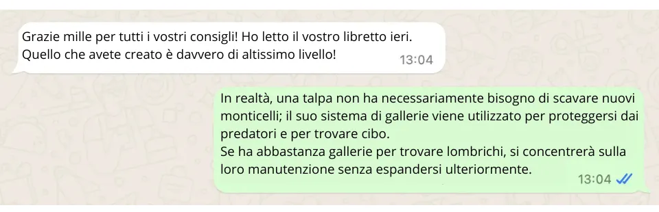 Gas Antitalpa: Si Possono Eliminare le Talpe con il Gas per Mandarle Via?