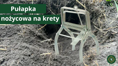 Mollenklem: Wat je moet weten voor je er een koopt