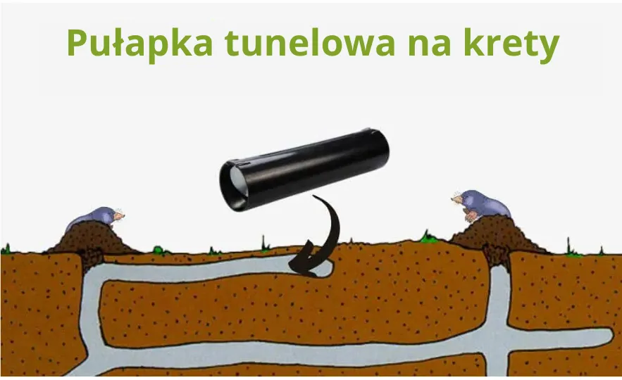 Jaki kupić kretowy pułapkę? Najlepsze pułapki na krety na rynku w 2025 roku