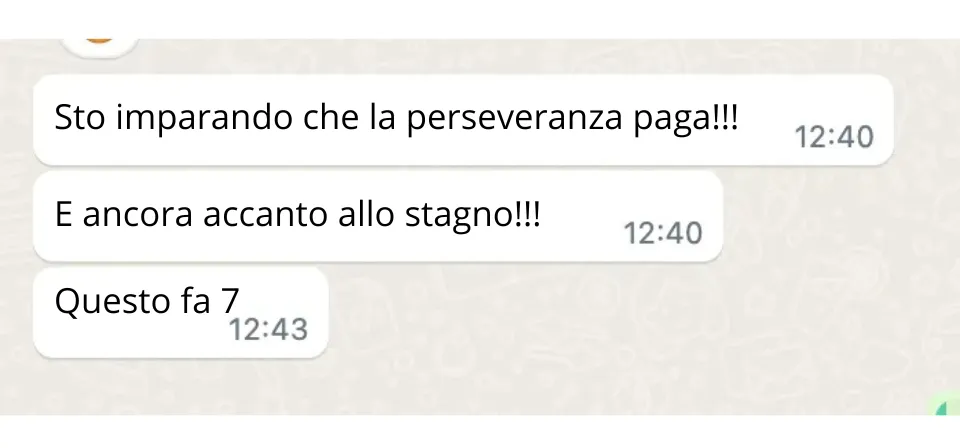 Anti-Talpa Solare: Recensione e Confronto Definitivo con il Kit QuickTaupe per un Giardino Senza Talpe