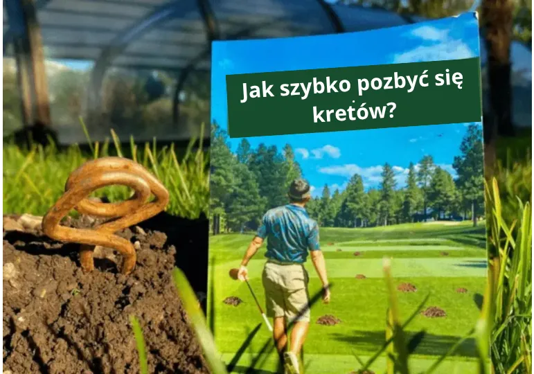 Kretolap, QuickTaupe – Którą pułapkę wybrać, żeby w końcu pozbyć się kretów?