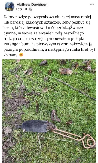 Kretolap, QuickTaupe – Którą pułapkę wybrać, żeby w końcu pozbyć się kretów?