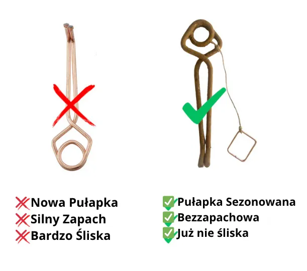 Pułapka na krety: 3 pułapki, które naprawdę działają!