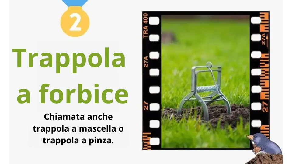 Quale trappola per talpe comprare? Le migliori trappole per talpe sul mercato nel 2025