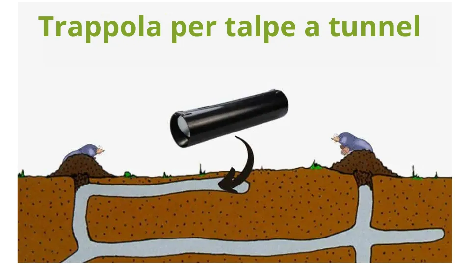 Quale trappola per talpe comprare? Le migliori trappole per talpe sul mercato nel 2025